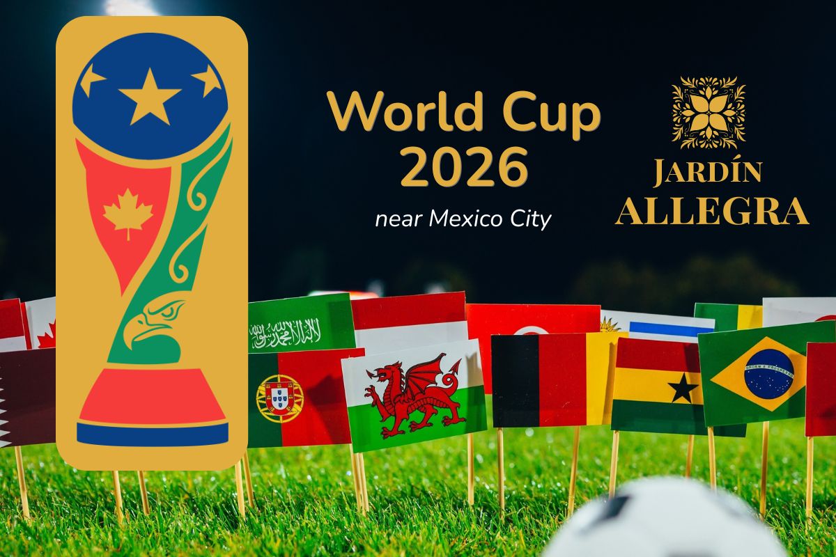 Private World Cup watch party by the pool at Allegra