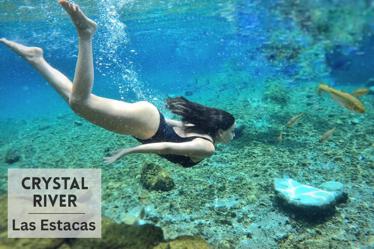 Río Las Estacas de agua cristalina en Morelos, plan de naturaleza